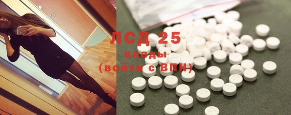 бошки Пересвет