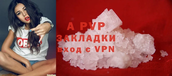 ПСИЛОЦИБИНОВЫЕ ГРИБЫ Пестово