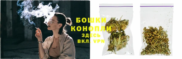 бошки Пересвет