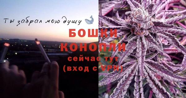 бошки Пересвет