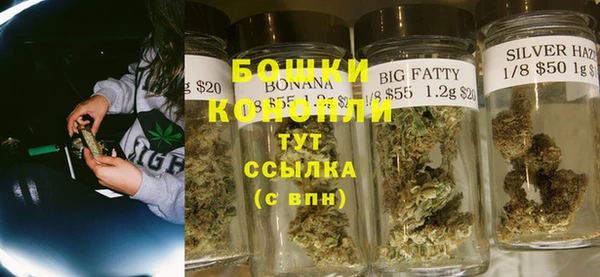 бошки Пересвет