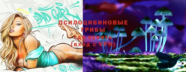 стаф Переславль-Залесский