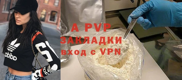 бошки Пересвет