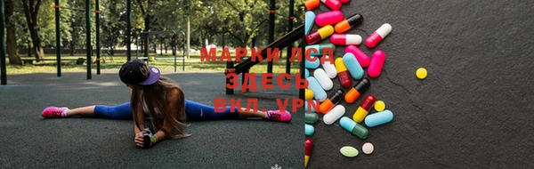 бошки Пересвет