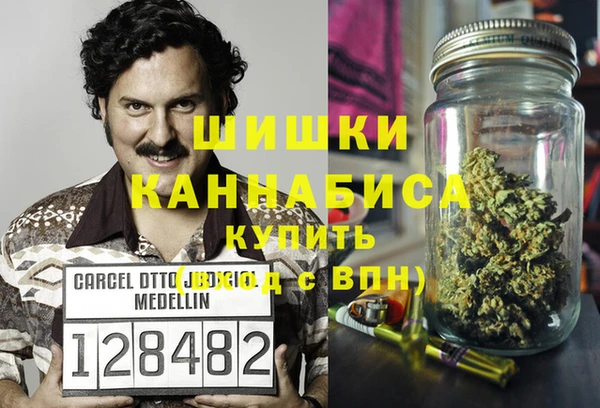 ПСИЛОЦИБИНОВЫЕ ГРИБЫ Пестово
