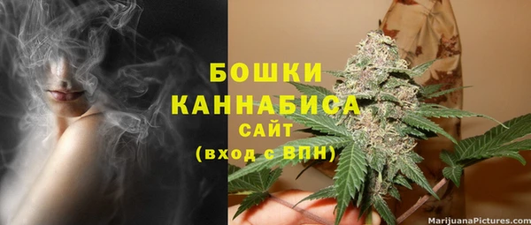 бошки Пересвет
