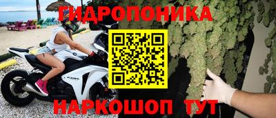 шишки Волгодонск