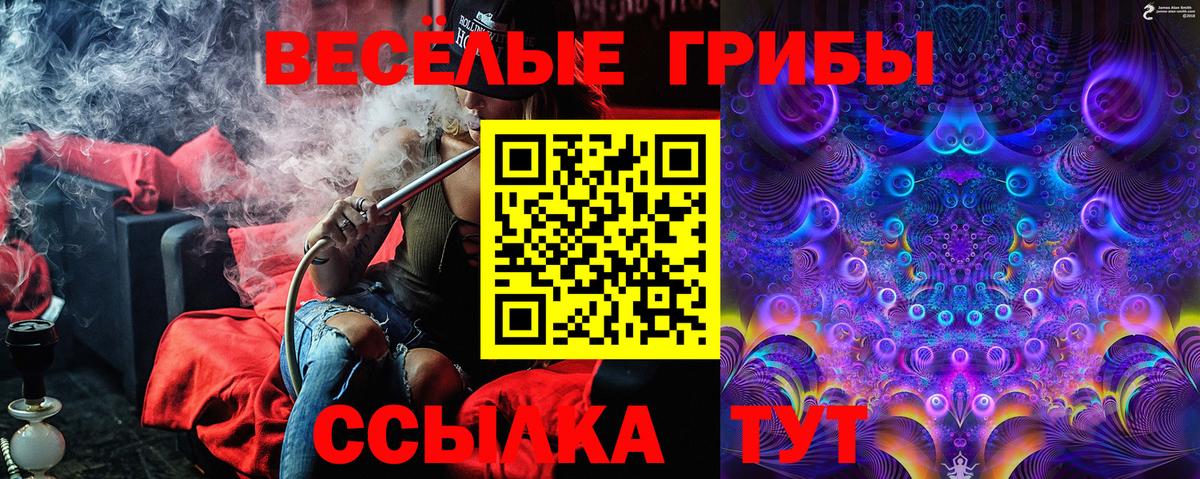 Псилоцибиновые грибы Psilocybe Вязьма