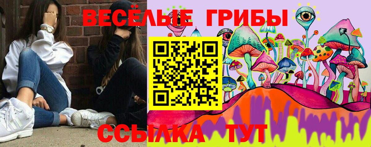 Псилоцибиновые грибы MAGIC MUSHROOMS Вязьма