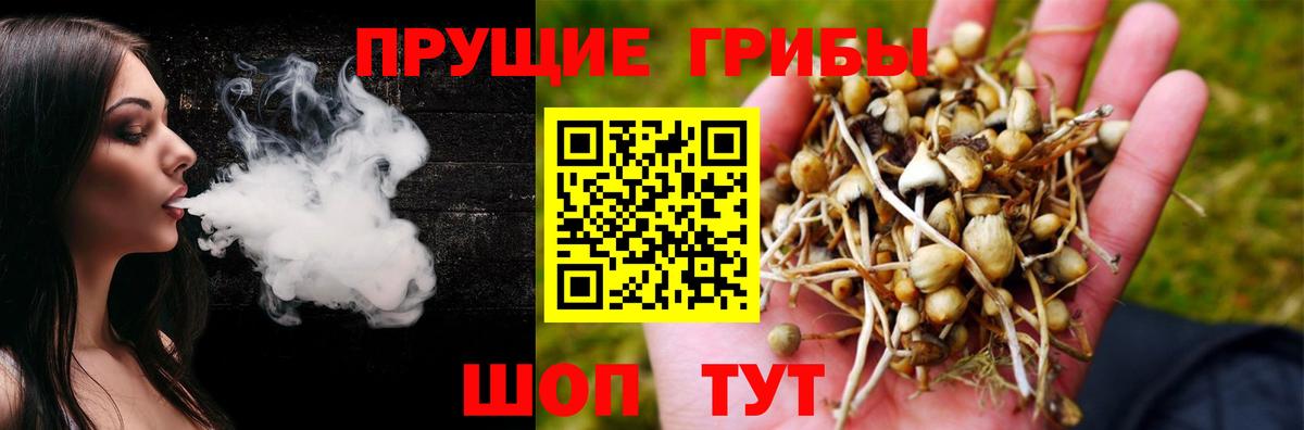 Галлюциногенные грибы Magic Shrooms  Вход с VPN  Вязьма 