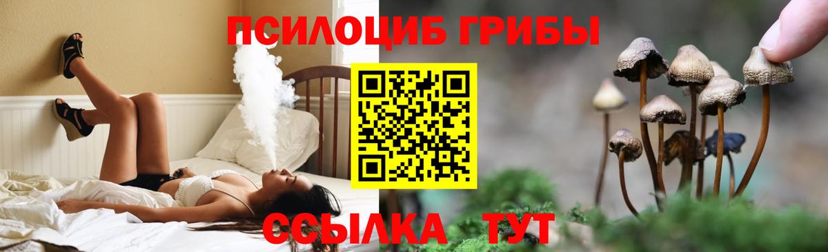 цена наркотик  Вязьма  Псилоцибиновые грибы ЛСД 